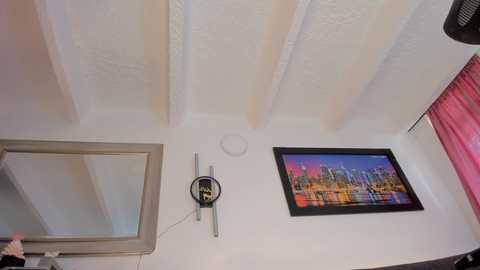 Video of a white-walled room with exposed ceiling beams, featuring a large framed cityscape painting, a rectangular mirror, and a minimalist wall-mounted speaker.