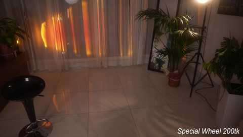 Media: Video of a dimly-lit room with a glossy, beige tiled floor. Potted plants in the background. A large mirror reflects light, and a black stool is in the foreground. Warm, ambient lighting.