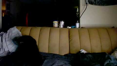 Video of a dimly lit bedroom with a beige, cushioned headboard; two people sleeping in bed, one with dark hair. Background includes a television, a white wall, and scattered personal items.