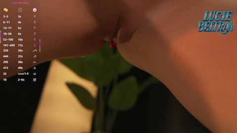 lucie_beltran free recording from 2026-02-12 00:10:00