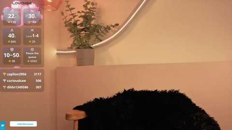 midori__san free recording from 2026-02-13 00:14:00