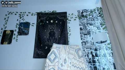 mollycemma free recording from 2026-02-12 12:20:00