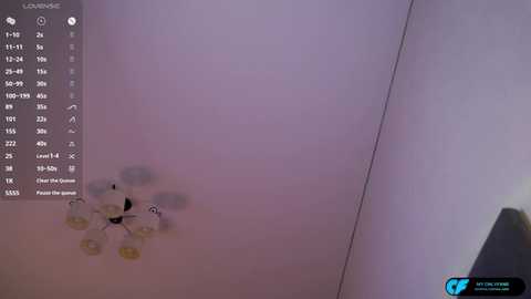 oke_doke free recording from 2026-02-12 01:05:00