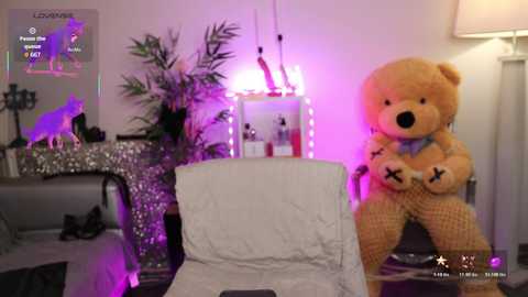 qwennx free recording from 2026-02-13 00:09:00