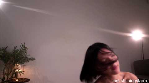 shiningstarrr free recording from 2026-02-12 00:10:00