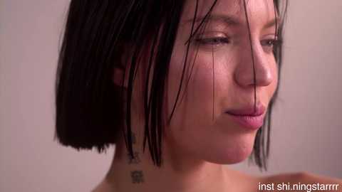 shiningstarrr free recording from 2026-02-13 00:15:00