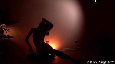 shiningstarrr free recording from 2026-02-13 00:15:00