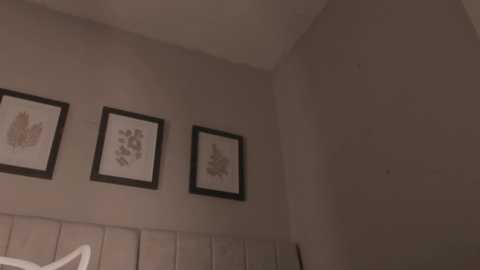 _dakota_a free recording from 2026-02-14 00:21:00