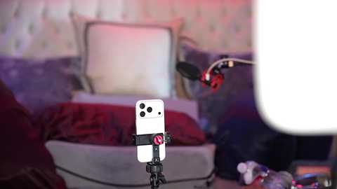 avalonnfoxx free recording from 2026-02-14 00:14:00