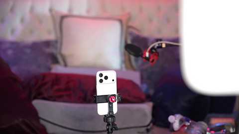 avalonnfoxx free recording from 2026-02-14 00:14:00