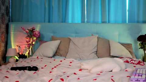 bella_stewartt free recording from 2026-02-13 00:14:00