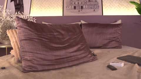 Video of a modern bedroom with two large, textured purple pillows on a beige bedspread. The background features a purple wall and framed black-and-white cityscape art. A white remote and a keyboard lie on the bed.