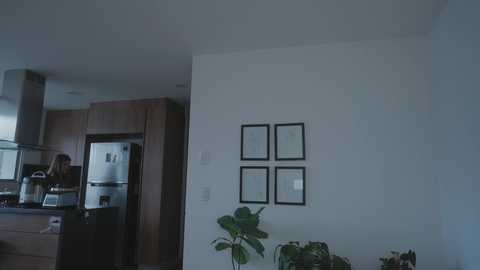 A video of a modern, minimalist kitchen with white walls, stainless steel appliances, dark wooden cabinets, and a framed art collection on the right wall. A tall, leafy plant is in the foreground.