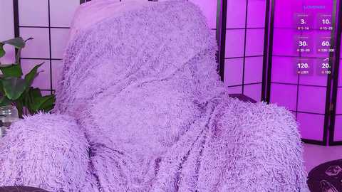 shycinderella free recording from 2026-02-13 00:14:00