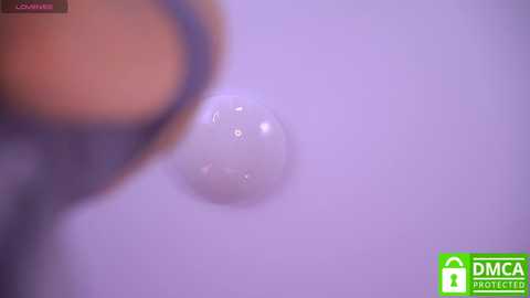 telladreamer_ free recording from 2026-02-13 00:14:00