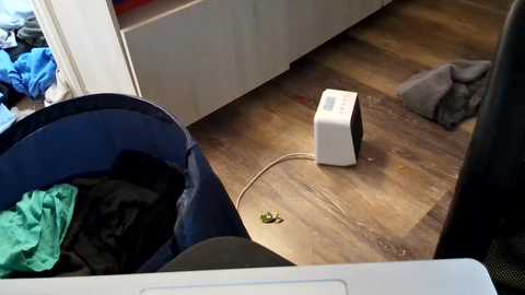 Media: A video of a cluttered room with a blue trash can, clothes, and a white box on the floor next to a wooden floor, showing a messy, lived-in space.