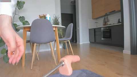 yours_meyy free recording from 2026-02-13 00:14:00