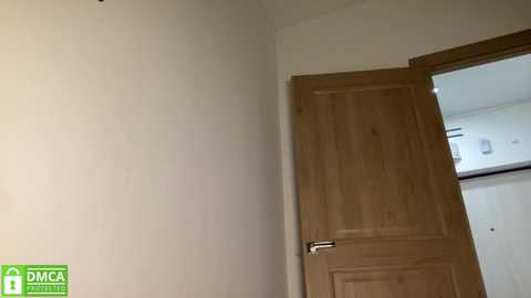 A video of a plain, unfinished room with a wooden door partially open, revealing a white bathroom beyond. The room's walls are painted light beige, and the door has a metal handle.