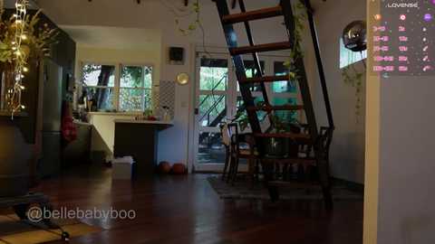 Video of a cozy, dimly lit living room with wooden floors, a wooden ladder leading to a loft, and a glass sliding door leading to a garden.