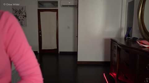 chloewildd free recording from 2026-02-14 00:21:00