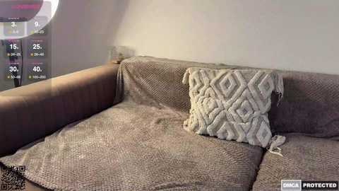 Media: Video of a beige sofa with a textured throw blanket and a decorative cushion featuring a geometric pattern. The background shows a wall with a digital clock displaying 25\u00b0C.