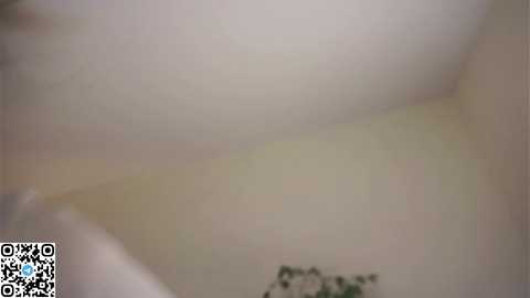 forestproject free recording from 2026-02-15 00:16:00