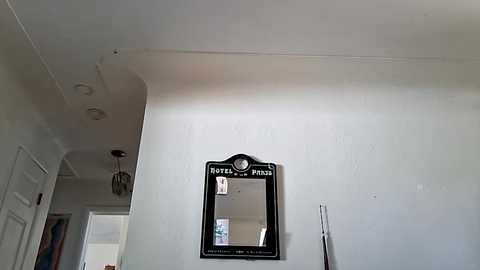 Video of a white-walled hallway with a black-framed mirror, \"Horse Palace\" sign, and a small, circular chandelier above.