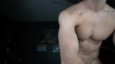 Video of a shirtless, muscular man with fair skin, standing in a dimly lit room with dark walls and posters. His well-defined abs and broad shoulders are prominent.