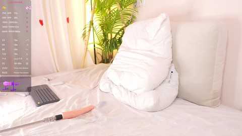 _miumiu_ free recording from 2026-02-15 00:02:00