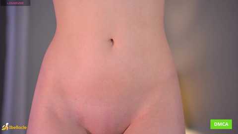 bellacle free recording from 2026-02-15 00:02:00