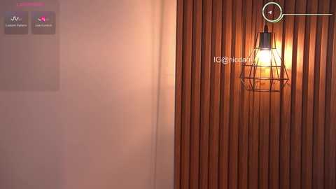 Video of a wall-mounted, vintage-style, brass lamp with a frosted glass shade, casting a warm glow against wooden paneling, with a dimmer switch and a smartphone app interface visible.