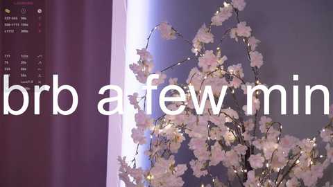 Video of a room with a cherry blossom tree adorned with white fairy lights against a soft purple wall. Text overlay reads \"brr a few min.\