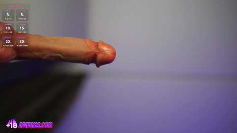 plump_bums free recording from 2026-02-15 00:02:00