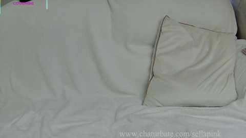 Video of a neatly made bed with a light beige pillow and a matching pillowcase. The bedspread is white, creating a serene, minimalist bedroom setting.