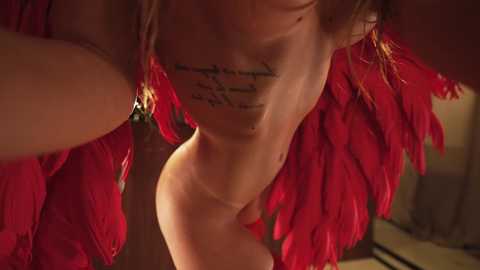 sunshine_______ free recording from 2026-02-15 00:02:00