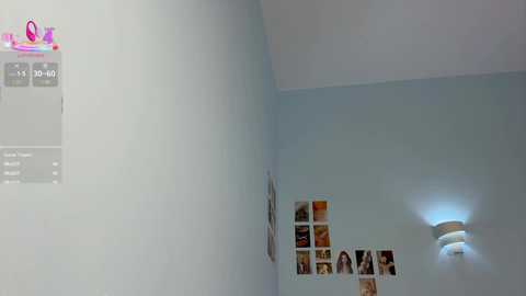 Video of a corner room with pale blue walls, a modern light fixture, and a collage of small photos.