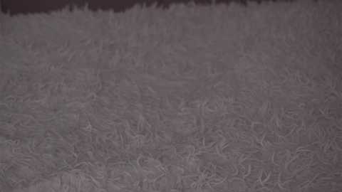 A video of a beige, plush carpet with a slight texture, stretching across the entire frame, providing a neutral, homely ambiance.