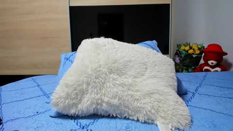 Video of a fluffy white throw pillow on a blue quilted bedspread. Background includes a wooden wardrobe, a teddy bear, and a vase with flowers.