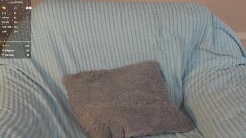 Video of a cozy armchair with a light blue, ribbed fabric. A plush, gray, textured throw pillow rests on the chair, contrasting with the soft, textured fabric. The background is blurred, focusing attention on the chair and pillow.