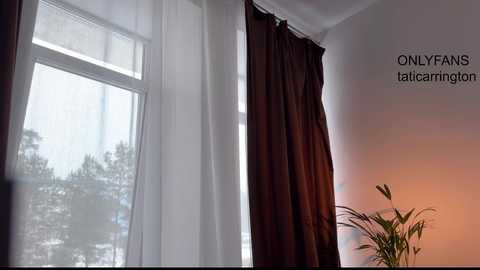 Media: Video of a bright room with white sheer curtains and dark brown floor-length curtains drawn to the side, revealing a window with a blurred view of trees outside. A potted plant with green leaves sits on the floor in the foreground.
