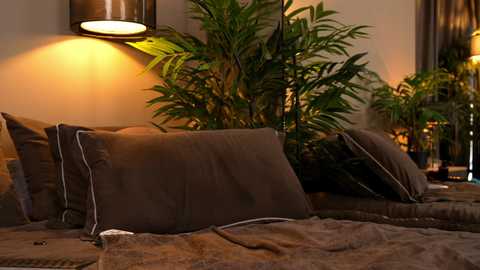 _keti_ free recording from 2026-02-17 00:20:00