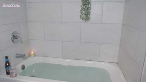 hexivu free recording from 2026-02-17 00:09:00