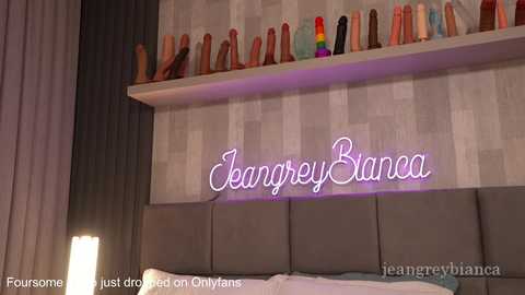 Video of a modern bedroom with a gray upholstered headboard, a colorful array of dildos on a shelf, and a neon sign reading \"JaggerBianca\" above.