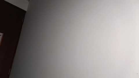 A video of a plain, off-white wall with a subtle, faint shadow in the upper right corner. The wall's texture is smooth, and there is a dark wooden door partially visible in the left background.