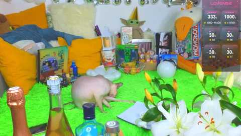 landel_boy free recording from 2026-02-18 00:51:00