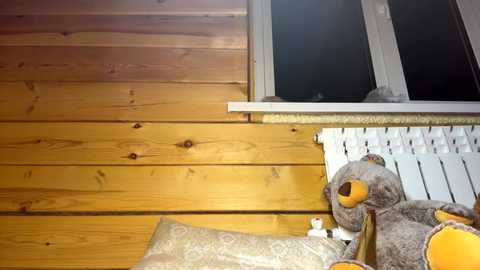 Video of a rustic wooden cabin wall with a small window, featuring a plush teddy bear and a pillow.