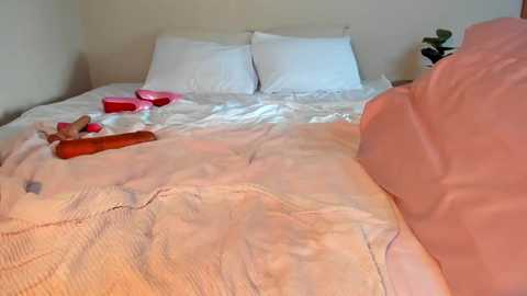 Media: Video of a messy bed with white sheets, pillows, and scattered items like a red vibrator, a bottle, and a pink object. The room has a cream-colored wall and a potted plant on the right.