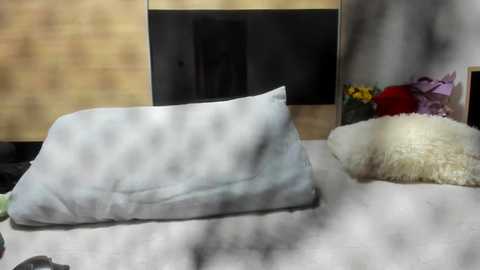 angell6969 free recording from 2026-02-18 01:11:00