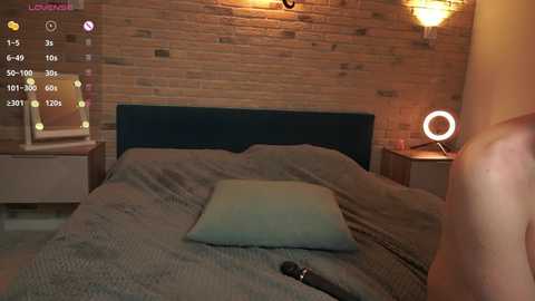 Video of a dimly lit bedroom with a blue upholstered bed, teal pillow, and brick wall background. Nightstand with circular lamp, phone, and a mirror on the left.