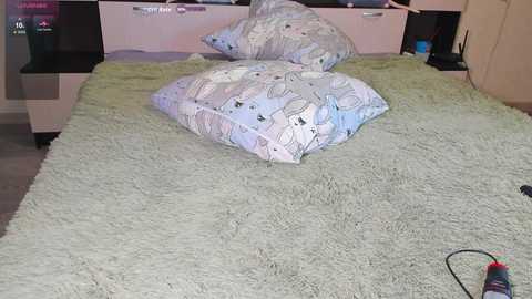 Video of a child's bedroom with a soft, light green shag rug, two plush pillows with cartoon characters on a bed, and a beige wardrobe in the background.